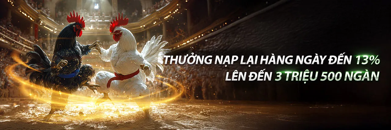 BJ39 Đá Gà – Sân Chơi Đá Gà Trực Tuyến Đỉnh Cao